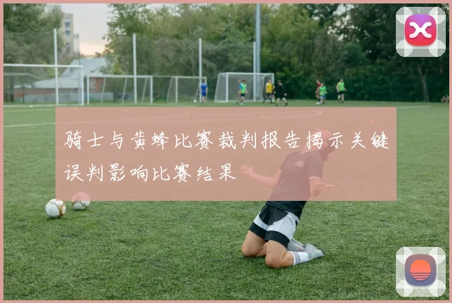 骑士与黄蜂比赛裁判报告揭示关键误判影响比赛结果