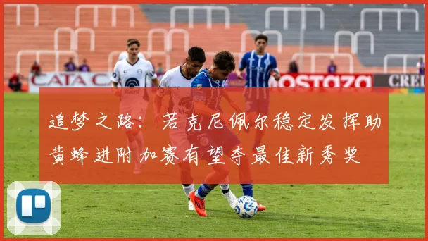 追梦之路：若克尼佩尔稳定发挥助黄蜂进附加赛有望夺最佳新秀奖