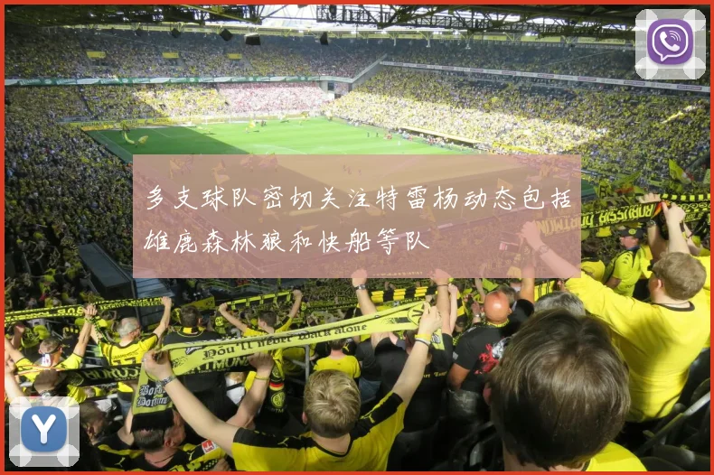 多支球队密切关注特雷杨动态包括雄鹿森林狼和快船等队