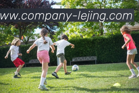 App Interface Preview